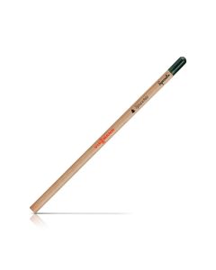 Bleistift mit Pflanzensamen
